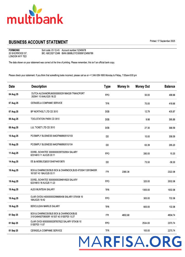 Realistic Panama Multibank organization checking account statement Word and PDF template
